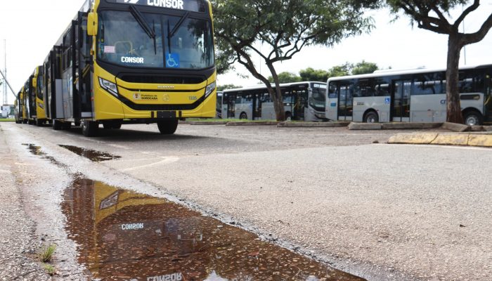 onibus